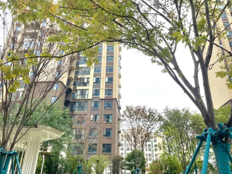 急風暴雨中 ，這幫人還在悄悄地忙個不停！
