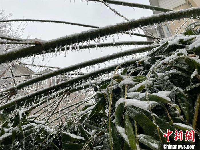 湖北低溫雨雪冰凍災(zāi)害應(yīng)急響應(yīng)升級