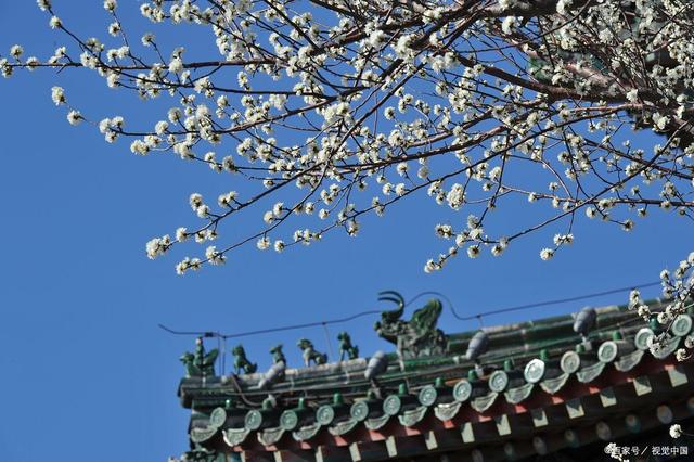立春：給身體做個(gè)大掃除！清除體內(nèi)的寒濕，讓陽氣更好生發(fā)！