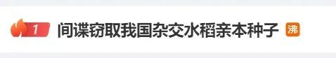 熱搜第一！間諜竊取我國雜交水稻親本種子